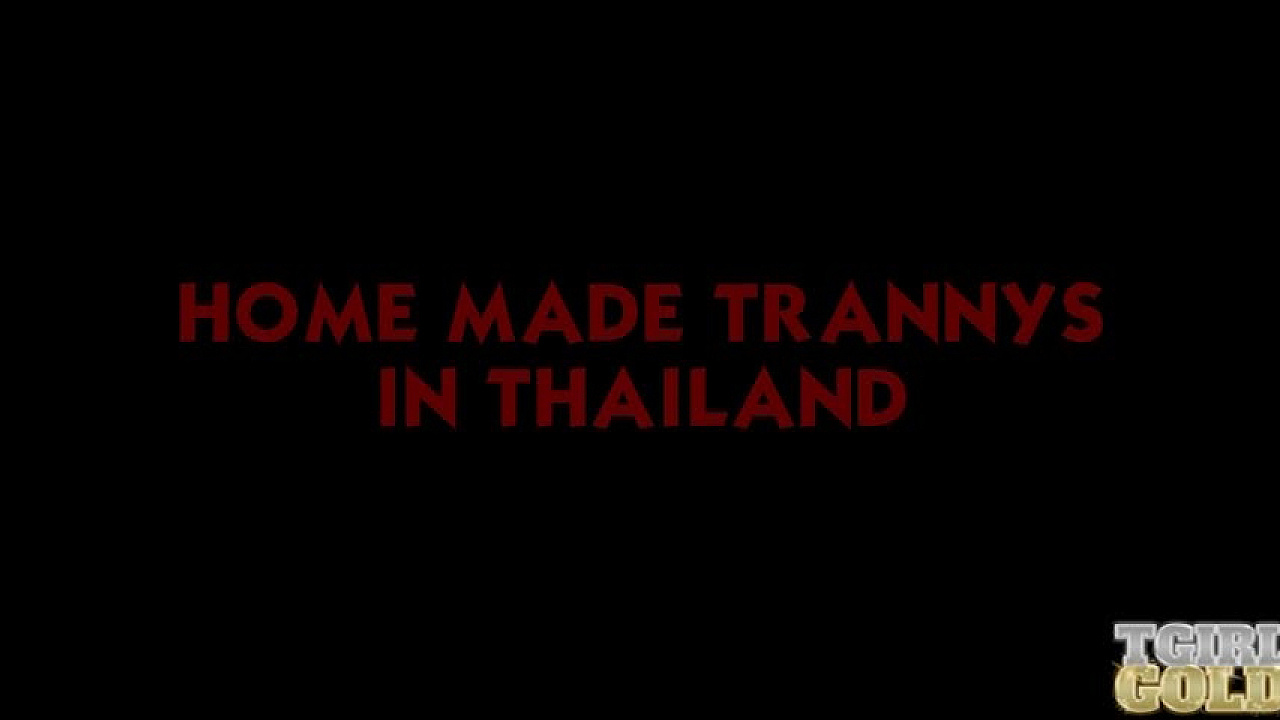 Home Made Trannys In Thailand - Toy