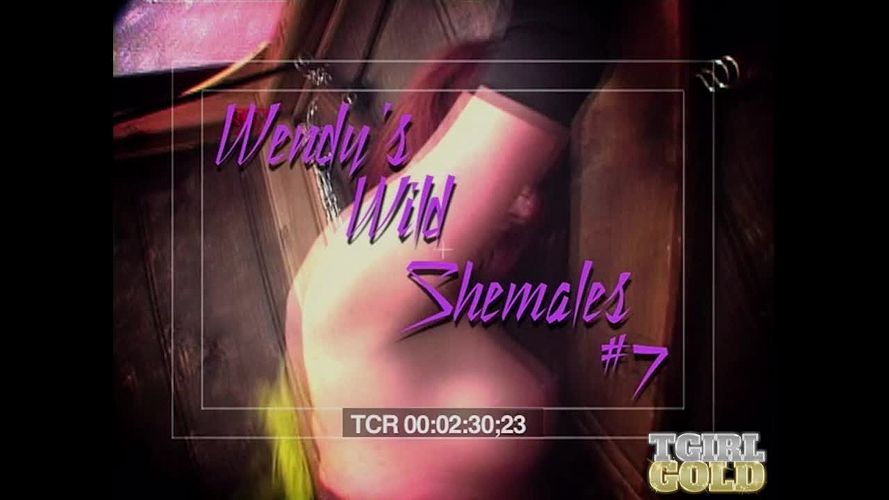 Wendy's Wild Shemales #7 - 05 - Wendy Williams